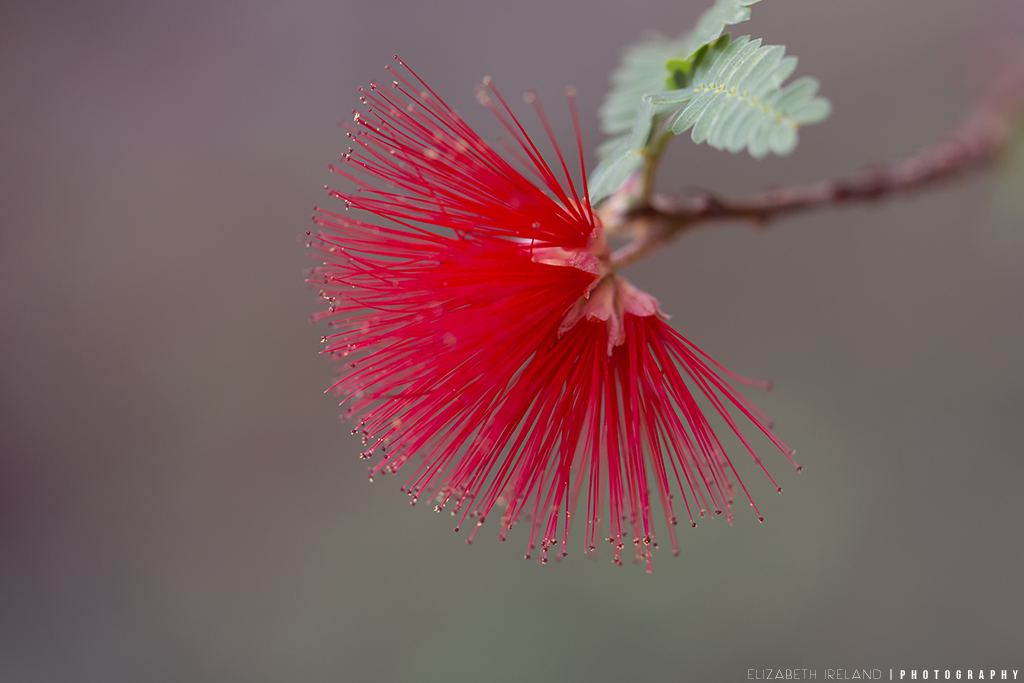 Henry-Doorly-Zoo-and-Aquarium-12_Flickr
