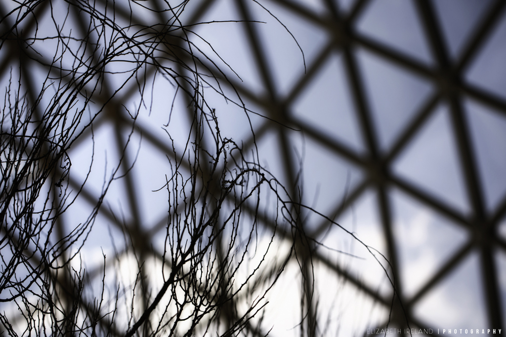 Henry-Doorly-Zoo-and-Aquarium-13_Flickr