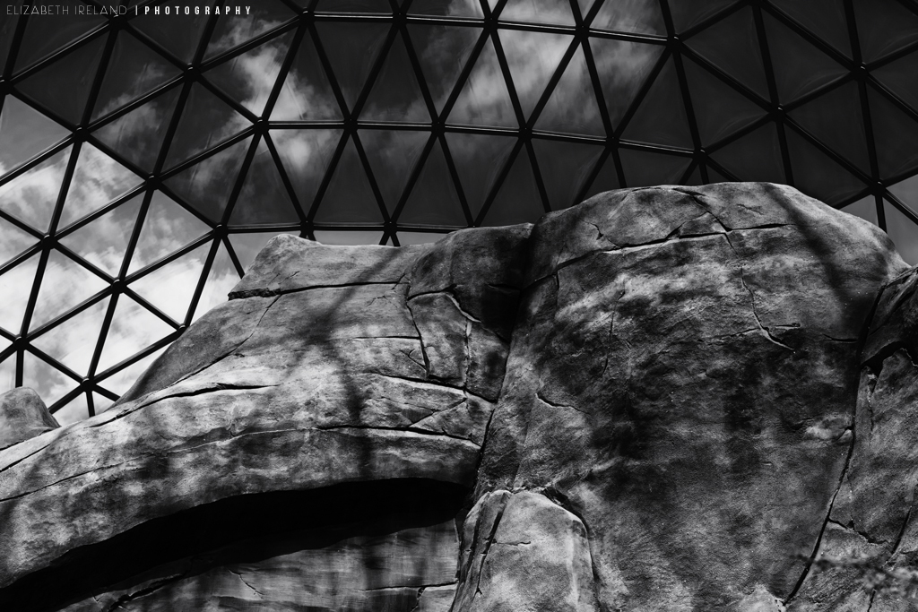 Henry-Doorly-Zoo-and-Aquarium-8_Flickr