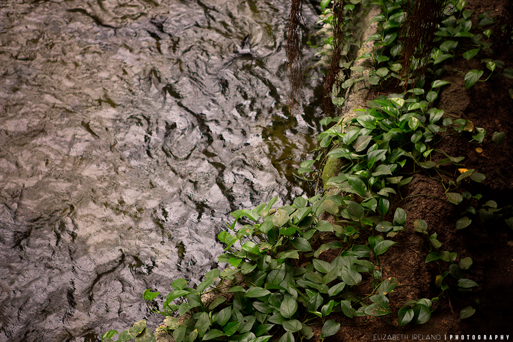 Henry-Doorly-Zoo-and-Aquarium-17_Flickr