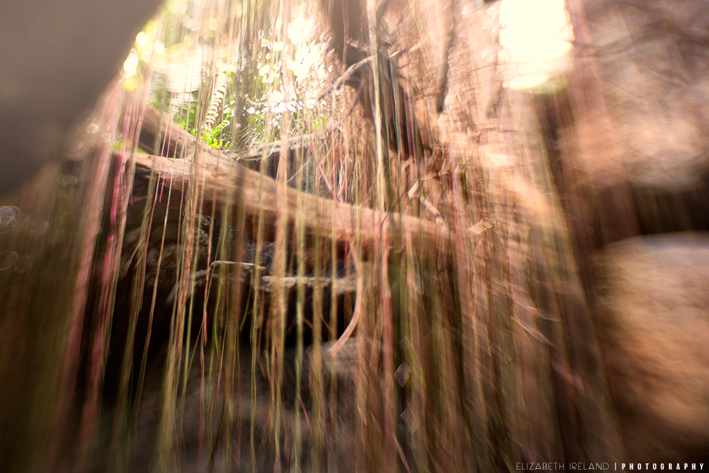 Henry-Doorly-Zoo-and-Aquarium-24_Flickr